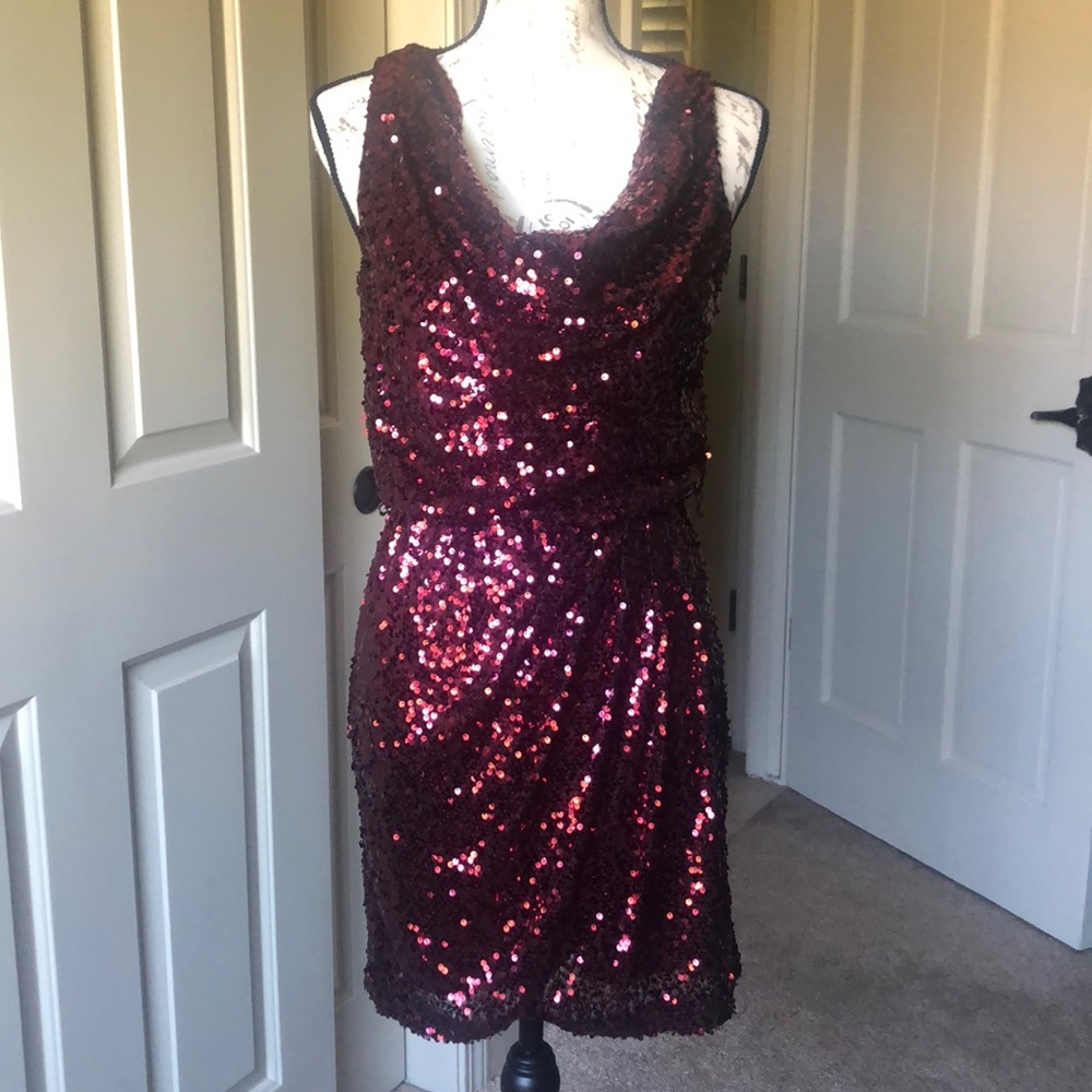 Dark Red Sequenced dress
